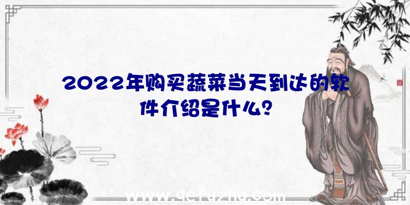 2022年购买蔬菜当天到达的软件介绍是什么？