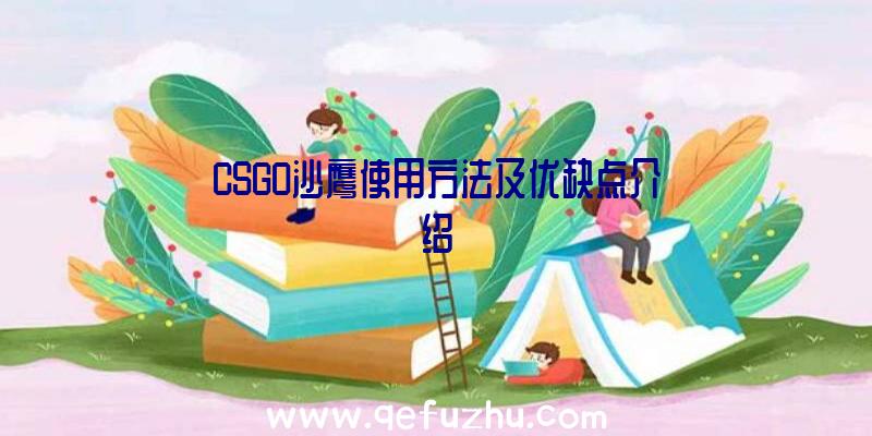 CSGO沙鹰使用方法及优缺点介绍