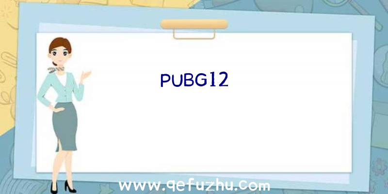 PUBG12