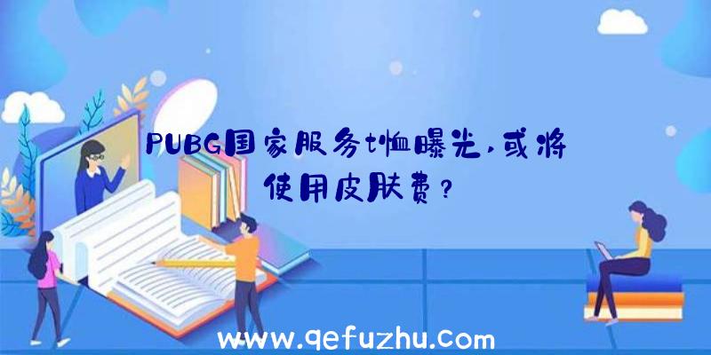 PUBG国家服务t恤曝光,或将使用皮肤费？