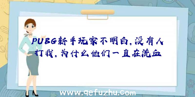 PUBG新手玩家不明白,没有人打我,为什么他们一直在流血