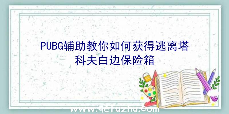 PUBG辅助教你如何获得逃离塔科夫白边保险箱