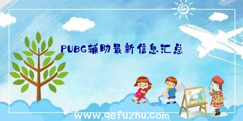 PUBG辅助最新信息汇总