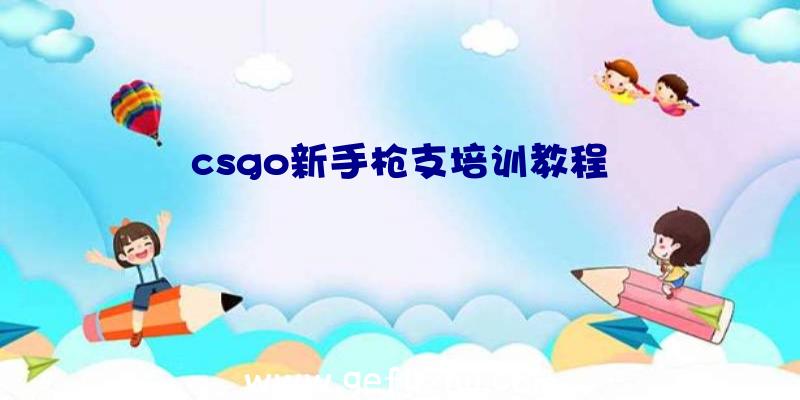 csgo新手枪支培训教程