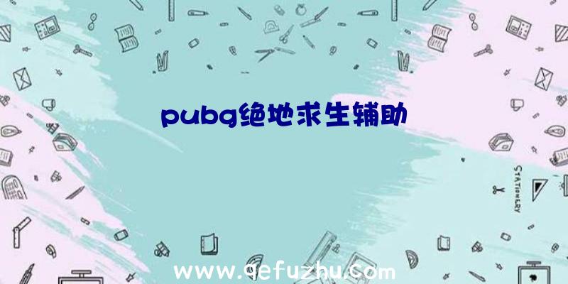 pubg绝地求生辅助