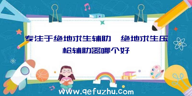 专注于绝地求生辅助、绝地求生压枪辅助器哪个好