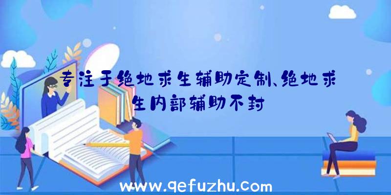 专注于绝地求生辅助定制、绝地求生内部辅助不封