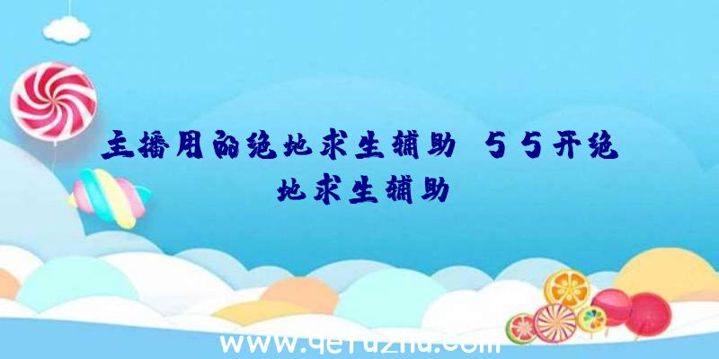 主播用的绝地求生辅助、55开绝地求生辅助