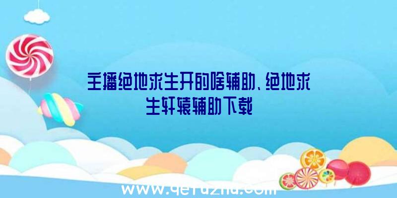 主播绝地求生开的啥辅助、绝地求生轩辕辅助下载