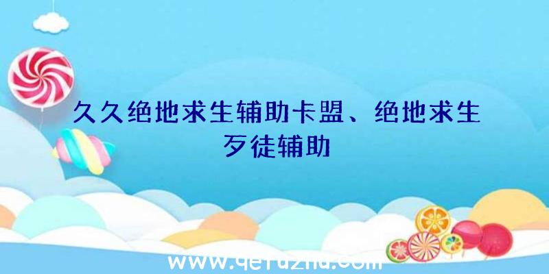 久久绝地求生辅助卡盟、绝地求生歹徒辅助