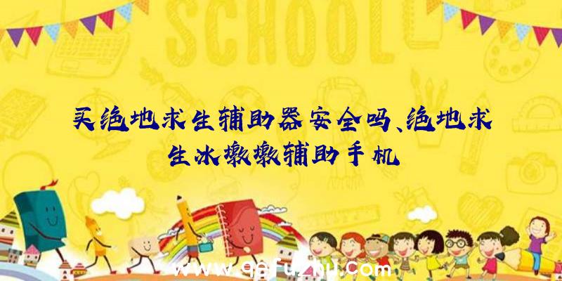 买绝地求生辅助器安全吗、绝地求生冰墩墩辅助手机