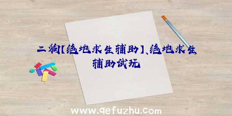 二狗【绝地求生辅助】、绝地求生辅助试玩