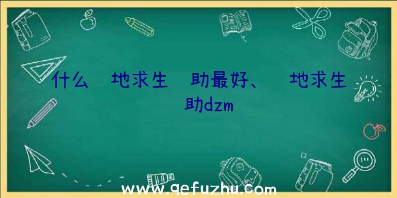 什么绝地求生辅助最好、绝地求生辅助dzm