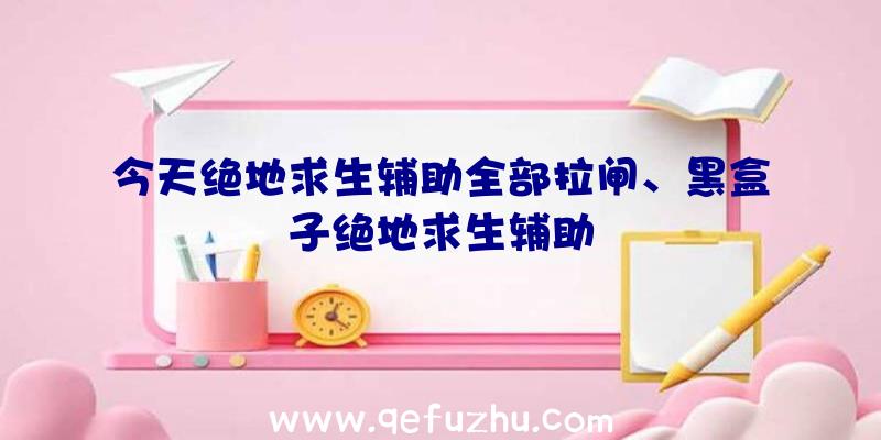 今天绝地求生辅助全部拉闸、黑盒子绝地求生辅助