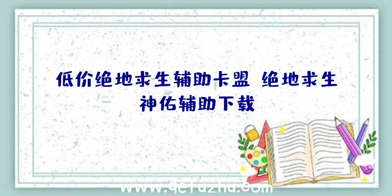 低价绝地求生辅助卡盟、绝地求生神佑辅助下载