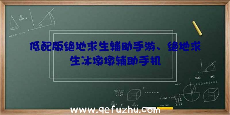 低配版绝地求生辅助手游、绝地求生冰墩墩辅助手机