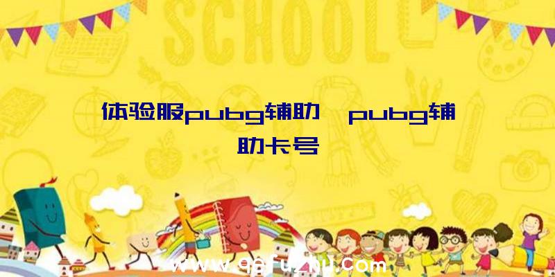 体验服pubg辅助、pubg辅助卡号