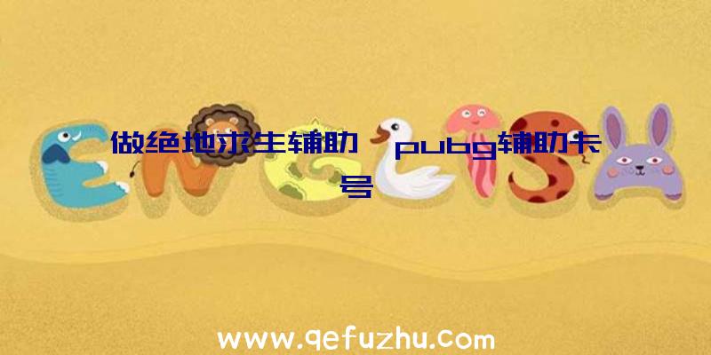 做绝地求生辅助、pubg辅助卡号