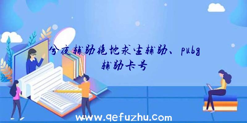 兮夜辅助绝地求生辅助、pubg辅助卡号