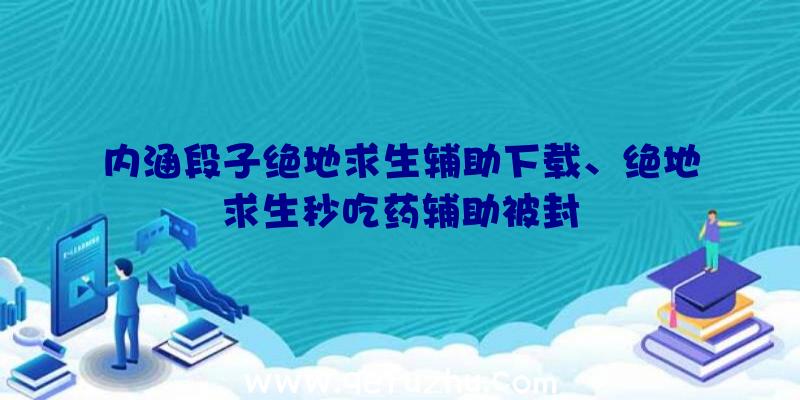 内涵段子绝地求生辅助下载、绝地求生秒吃药辅助被封