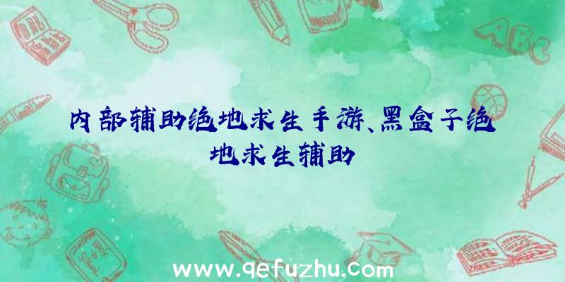 内部辅助绝地求生手游、黑盒子绝地求生辅助