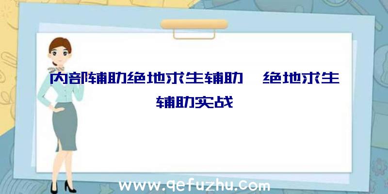 内部辅助绝地求生辅助、绝地求生辅助实战