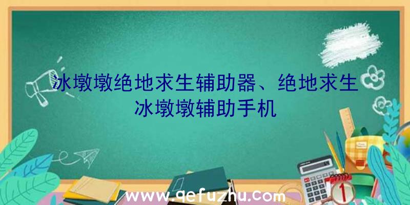 冰墩墩绝地求生辅助器、绝地求生冰墩墩辅助手机