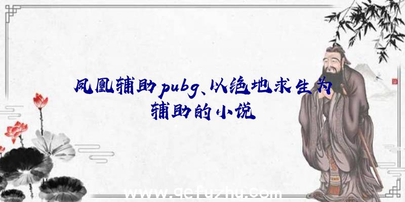 凤凰辅助pubg、以绝地求生为辅助的小说