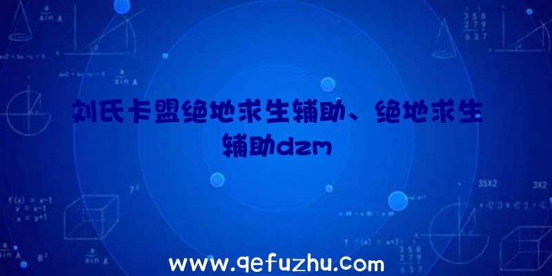 刘氏卡盟绝地求生辅助、绝地求生辅助dzm