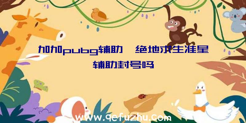 加加pubg辅助、绝地求生准星辅助封号吗