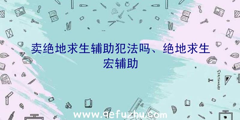 卖绝地求生辅助犯法吗、绝地求生宏辅助