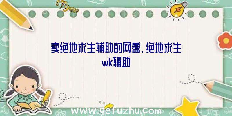 卖绝地求生辅助的网盘、绝地求生wk辅助