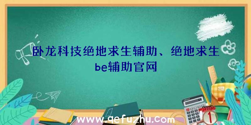 卧龙科技绝地求生辅助、绝地求生be辅助官网