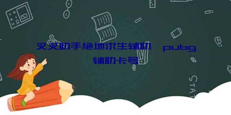 叉叉助手绝地求生辅助、pubg辅助卡号