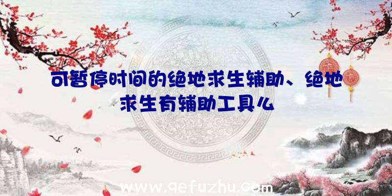 可暂停时间的绝地求生辅助、绝地求生有辅助工具么