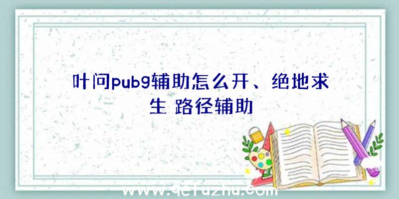 叶问pubg辅助怎么开、绝地求生