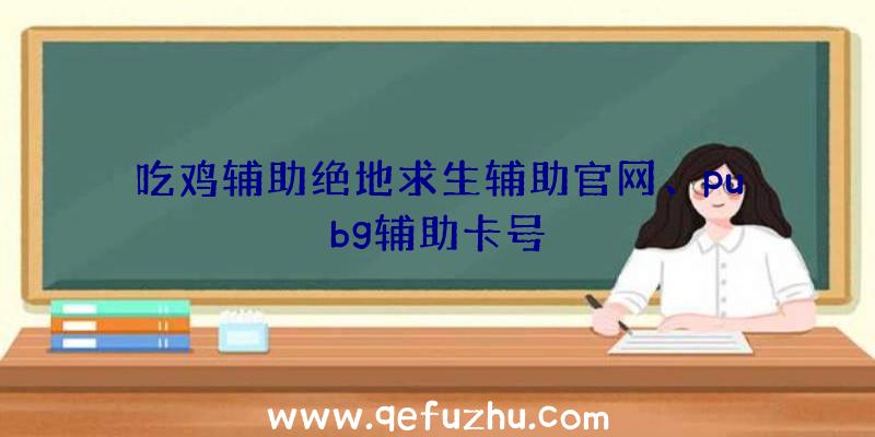 吃鸡辅助绝地求生辅助官网、pubg辅助卡号