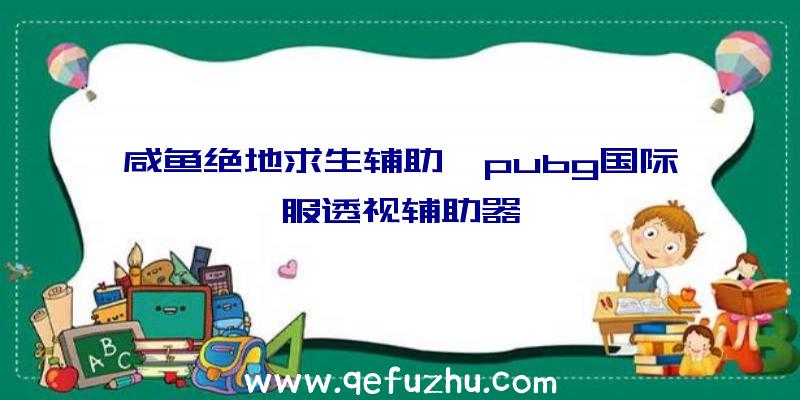 咸鱼绝地求生辅助、pubg国际服透视辅助器