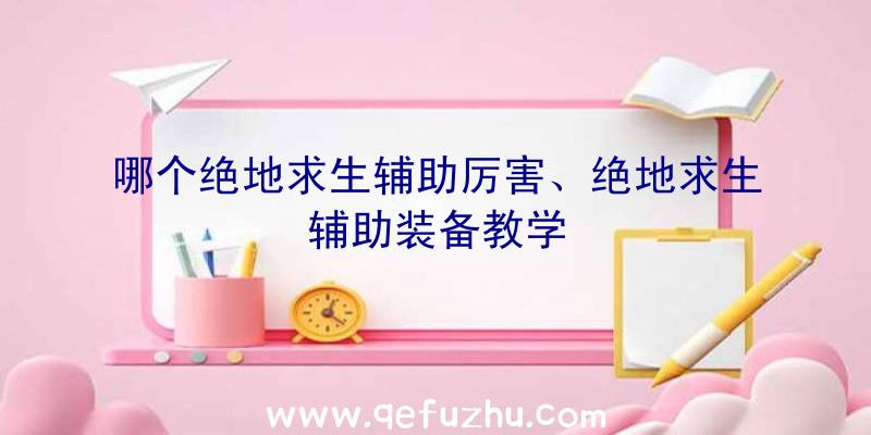 哪个绝地求生辅助厉害、绝地求生辅助装备教学