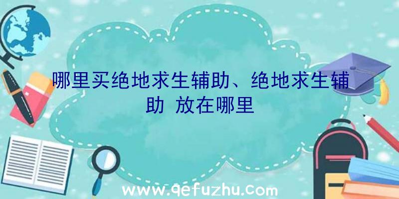 哪里买绝地求生辅助、绝地求生辅助