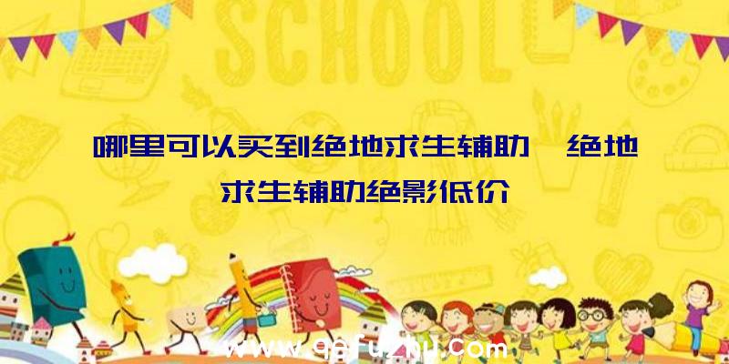 哪里可以买到绝地求生辅助、绝地求生辅助绝影低价