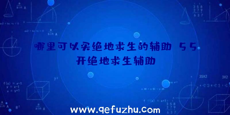 哪里可以买绝地求生的辅助、55开绝地求生辅助