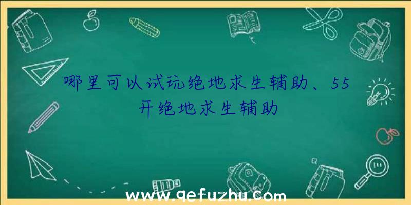 哪里可以试玩绝地求生辅助、55开绝地求生辅助