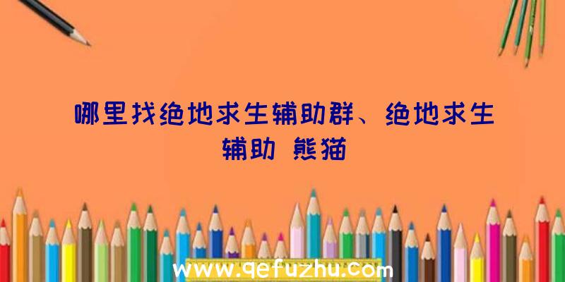 哪里找绝地求生辅助群、绝地求生辅助