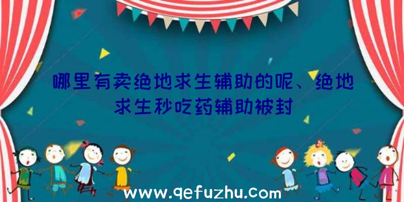 哪里有卖绝地求生辅助的呢、绝地求生秒吃药辅助被封