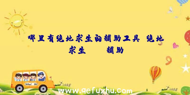 哪里有绝地求生的辅助工具、绝地求生boss辅助