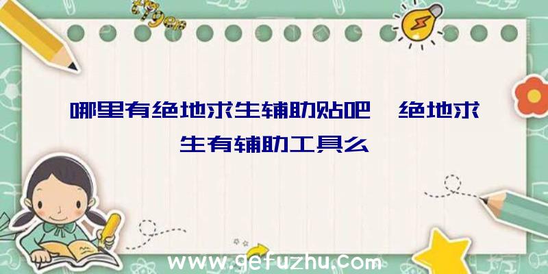 哪里有绝地求生辅助贴吧、绝地求生有辅助工具么