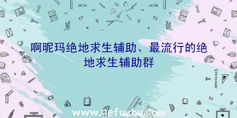 啊昵玛绝地求生辅助、最流行的绝地求生辅助群