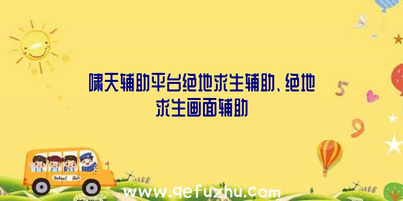 啸天辅助平台绝地求生辅助、绝地求生画面辅助