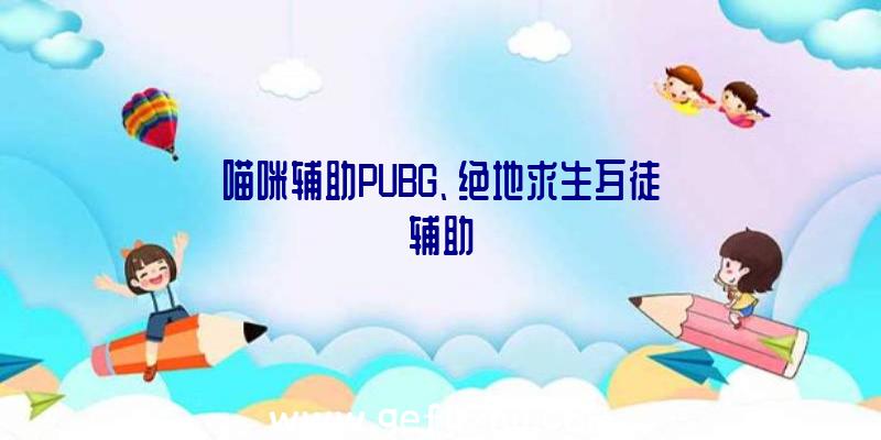 喵咪辅助PUBG、绝地求生歹徒辅助